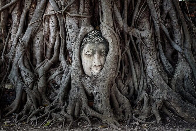 Ayutthaya Eco Friendly Bike Tour Famous Landmarks & Cultural Gems - Wat Mahathat: the bodhi tree Buddha head moment