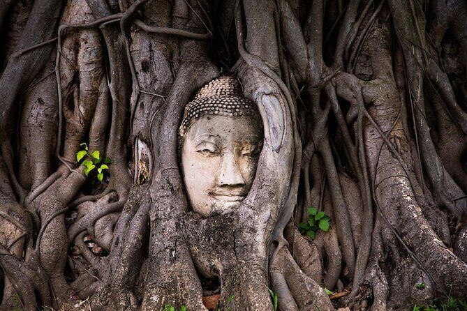Ayutthaya One Day Tour go by Coach - back by River Cruise - Grand Pearl Cruise - Key moments worth planning around