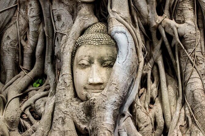 Day Tour of Ayutthaya and Bang Pa In - Wat Phra Si Sanphetchayaram: Where a Palace Became a Monastery