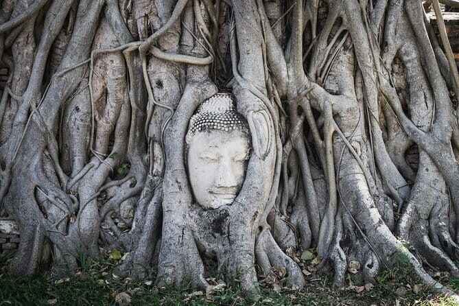 From Bangkok: Ayutthaya UNESCO Heritage Park and Temples Tour - Bang Pa-In Palace: a 1-hour look at Thai-Chinese-European architecture