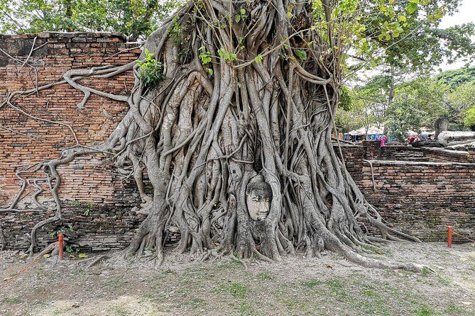 Private tour to Ayutthaya and Lopburi Monkey Temple (from Bangkok) - The real itinerary rhythm: what 9–11 hours feels like on your feet